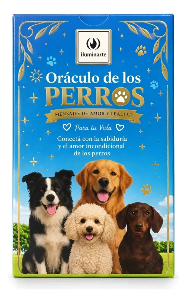 Foto Producto